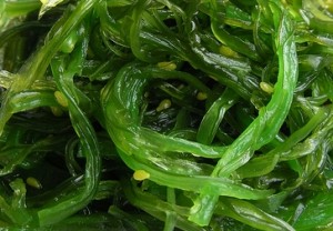 algues